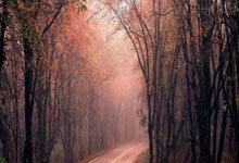 英格兰队豪取胜利，晋级脚步丝毫不减