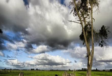 帆船比赛展现风采，中国队齐心协力