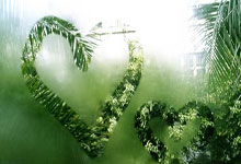 英格兰队豪取胜利，晋级脚步丝毫不减