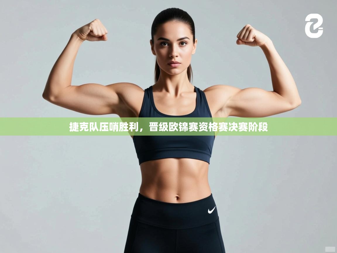 捷克队压哨胜利,晋级欧锦赛资格赛决赛阶段 第2张